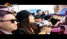 爆料明星故事视频播放,视频爆料背后的真实故事